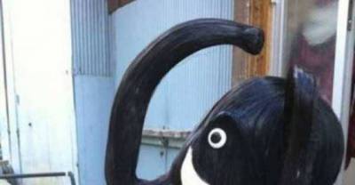 The Most Wackiest And Craziest Hair Styles Ever