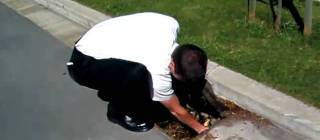 What the duck? Mormon missionaries at it again.