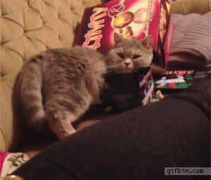 If I fits, I... wait... if I... sec please...