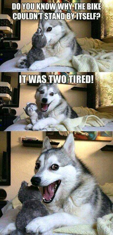 why bikes can't stand by themselves.