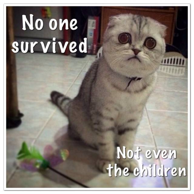 Someone posted the cat and I immediately saw this.