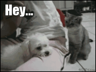 Hey....