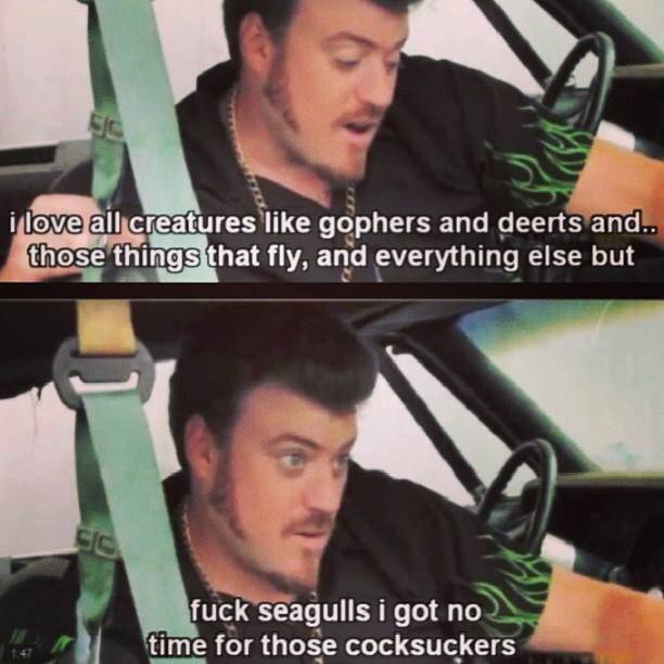 Oh Ricky, you lovable moron
