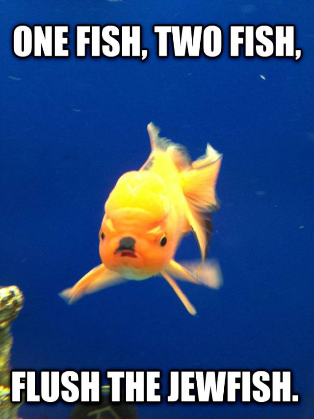 One Fish, Two Fish...
