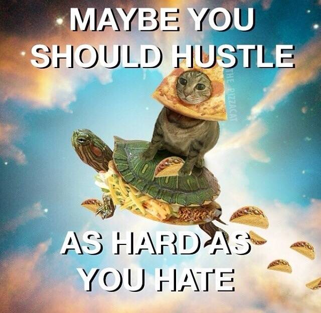My advice to chronic down voters.