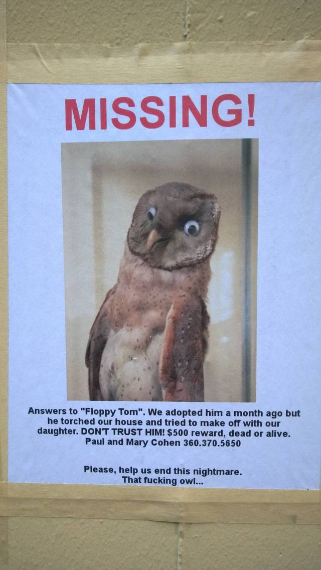 Floppy Tom