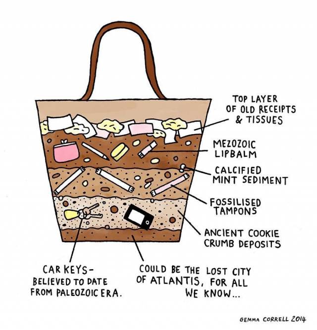 The Women's Handbag