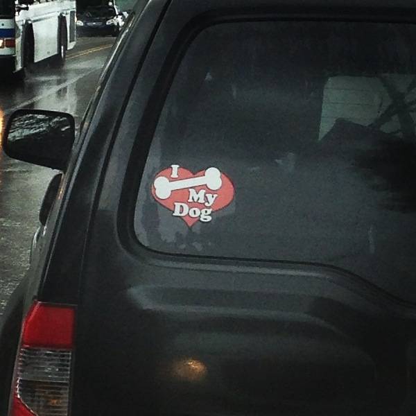 You what?