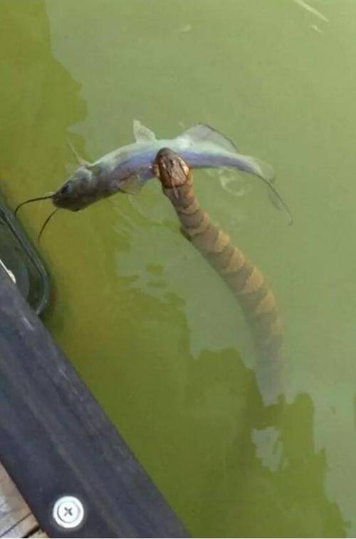 Lake Nope