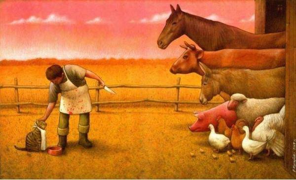 I’ve never understood why its ok to eat one thing in our society and not another