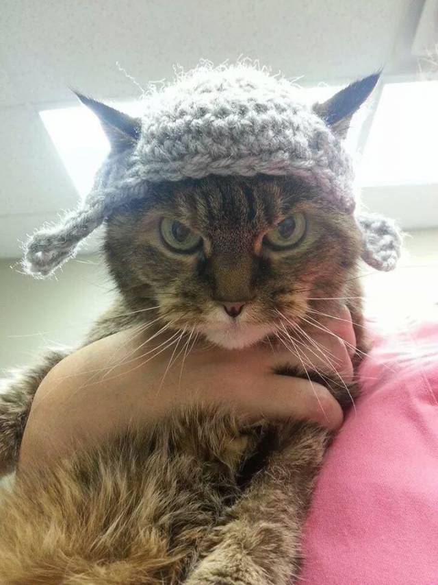 I think the new hat is a hit!