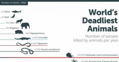 Mind Boggling And Interesting Statistics About Almost Everything
