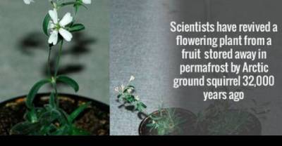 These Scientific Facts Will Blow Your Mind Away