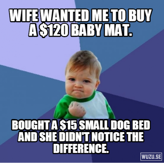 My wife wanted to spend too much money on the baby...