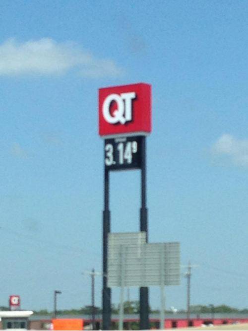 Saw this cutie pie on the side of the highway this morning