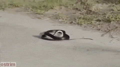 Where will you be when the speed kicks in?