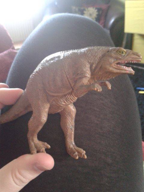 My nephew has a toy dinosaur which we call 