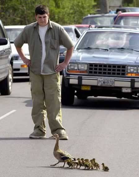 Just one VIP can hold traffic to ransom...