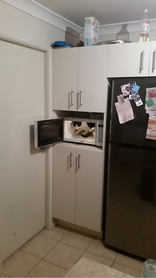 I turn around for one second...