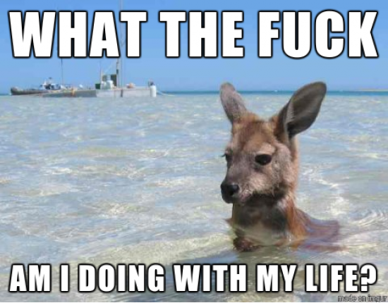 When I find myself browsing the internet for memes