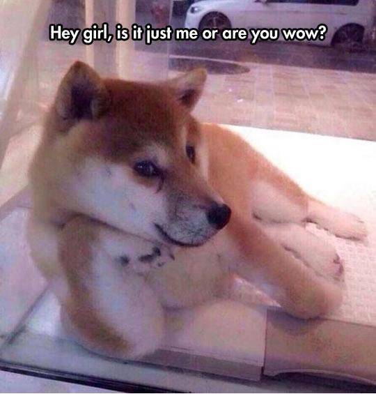 are you wow?