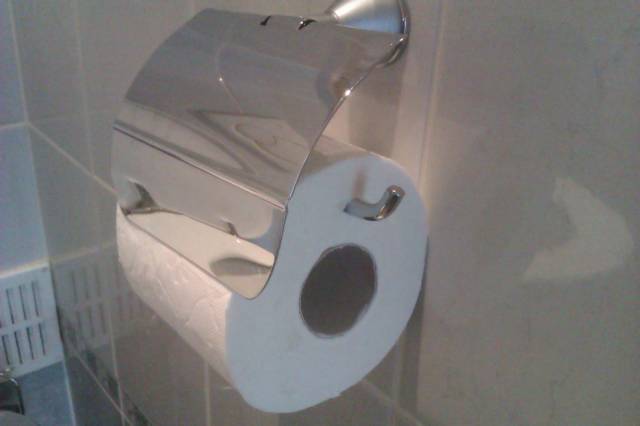 So I asked my 3 year old daughter to replace the toilet paper roll... Job well done!