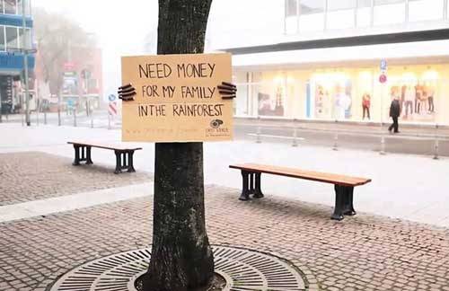 Trees need your help