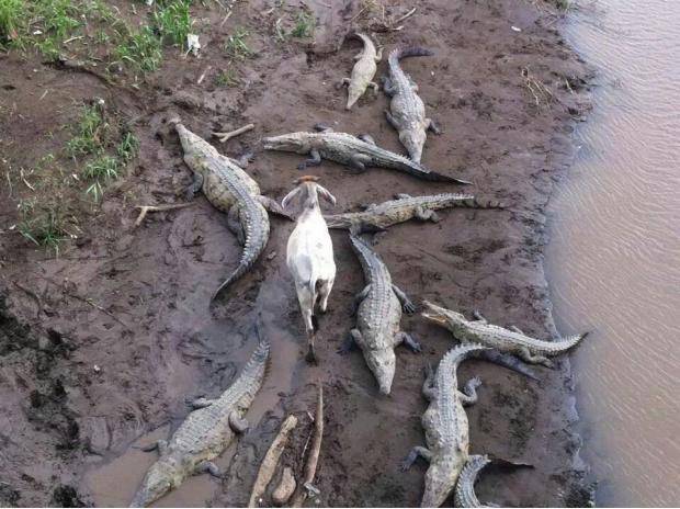 Even though I walk through the darkest valley, I will fear no evil