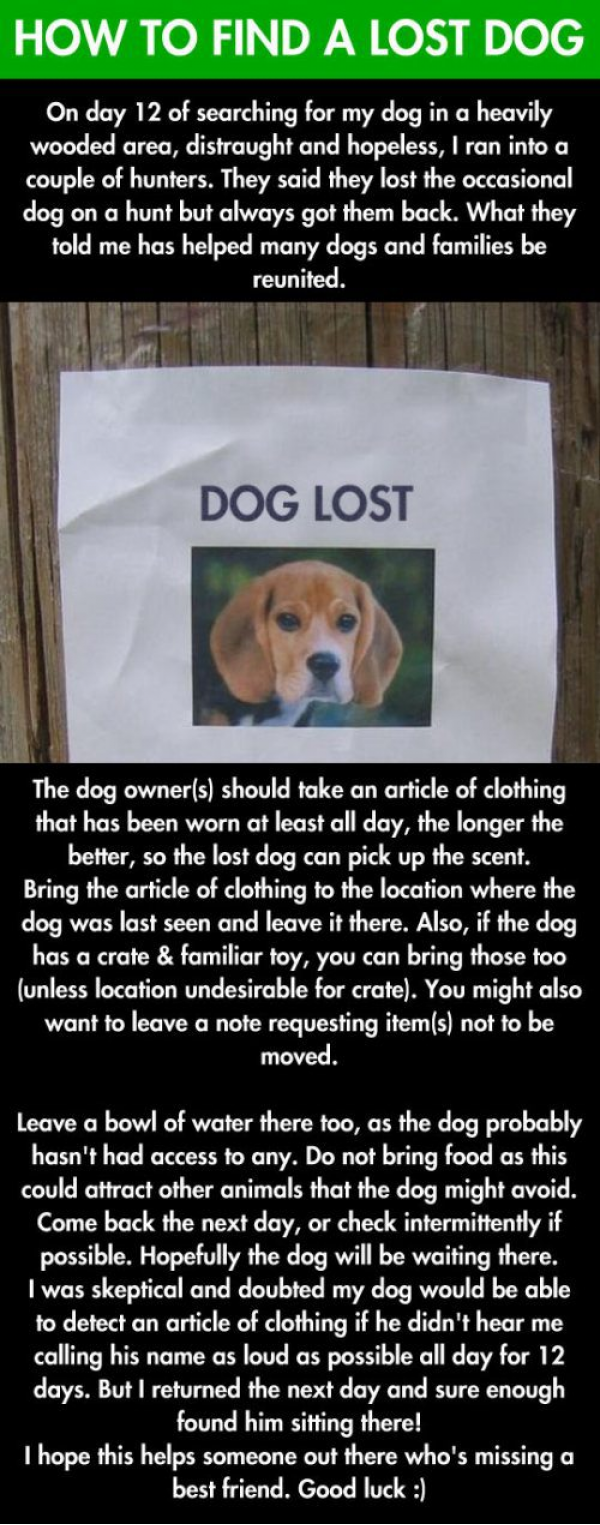 I just ran into this picture from a few months back. This trick helped me find my dog Maddie!