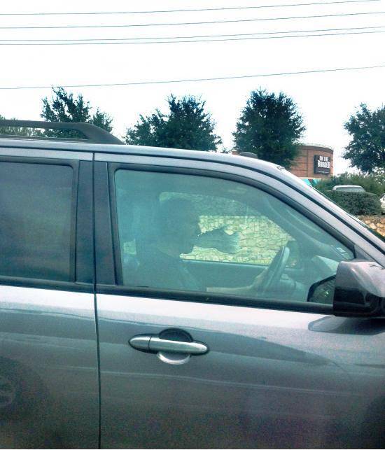 While driving I saw a man with a shoe in his mouth