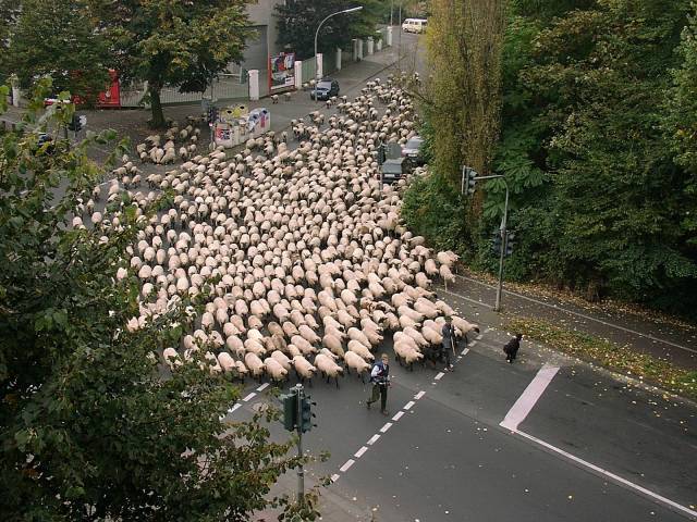 People are already lining up to purchase the new iPhone!