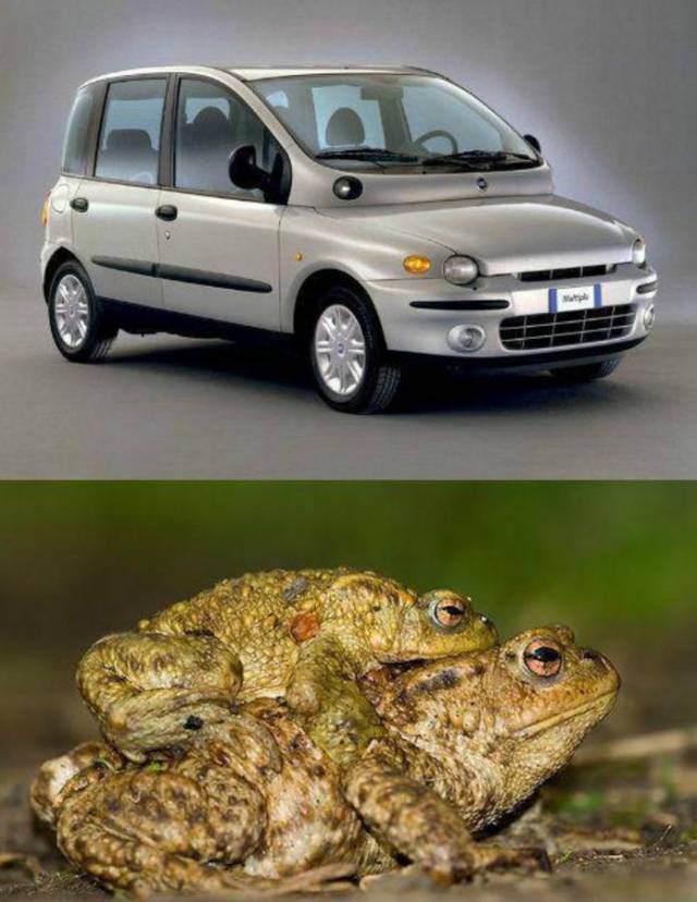 World's ugliest car