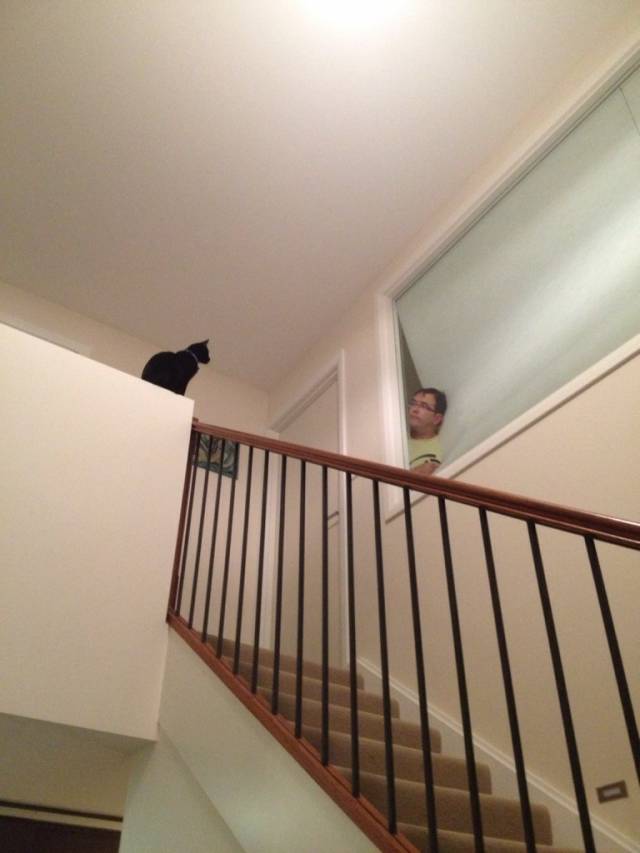 My cat has been attacking my dad all night...I think it's safe to say he's still in danger.