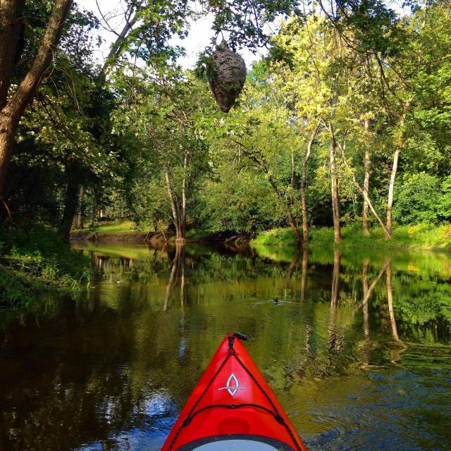 They decorated the river with piñatas for Mexican Independence Day! Should I whack it with my paddle?