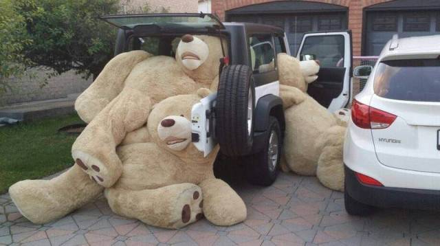 Should have bought the 4 door