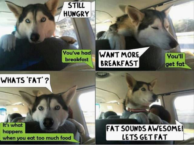 Still hungry...