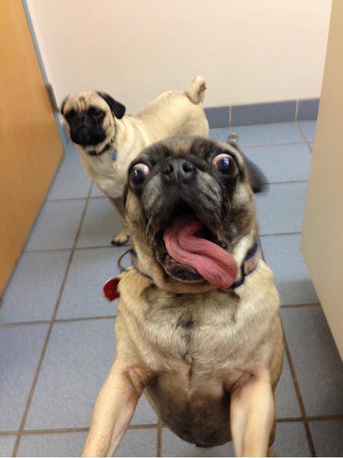When girls take selfies at the club.