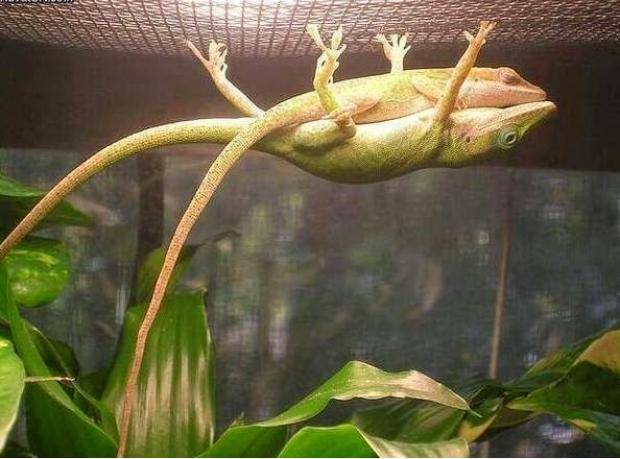 holding up his GF so she can take a nap
