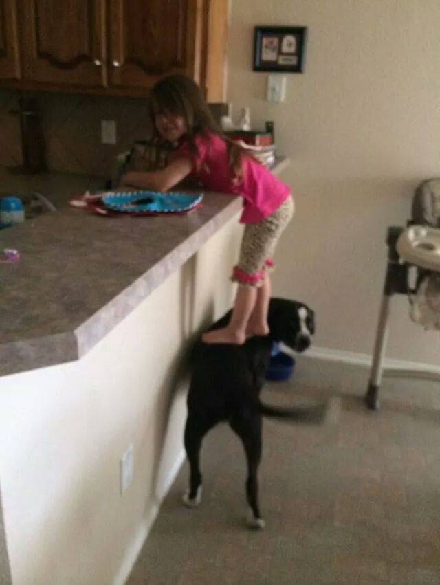 She got a partner in crime to help her steal cookies.