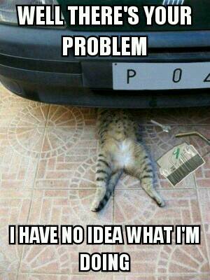 Worst/cutest mechanic ever