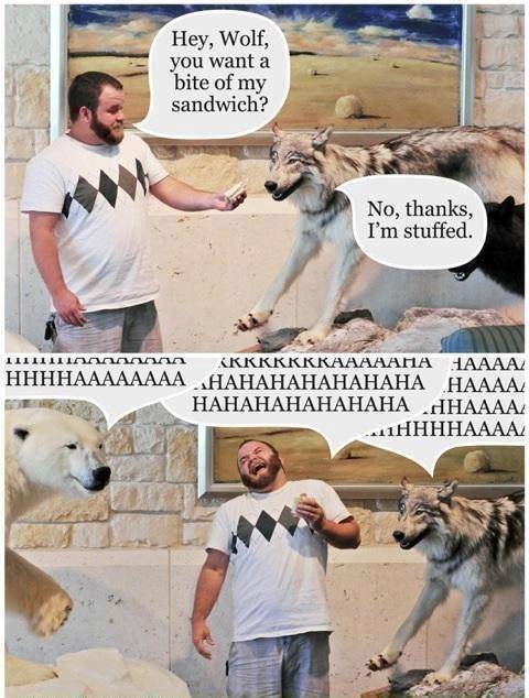Hey, Wolf...