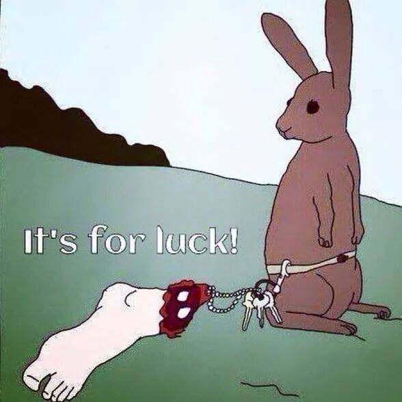 Gotta stay lucky somehow