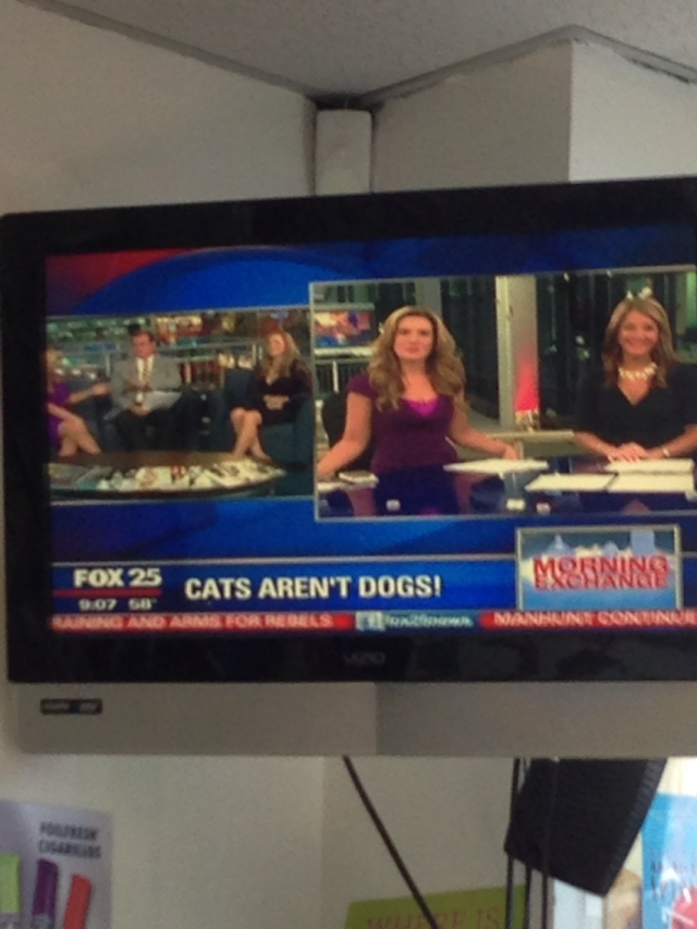 Hard hitting reporting from Fox this morning