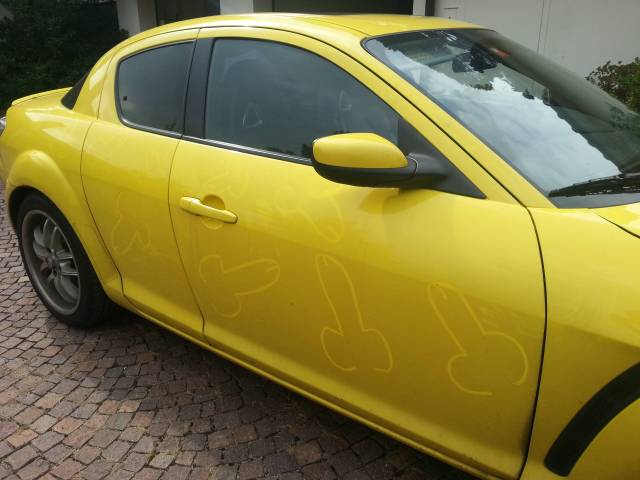 How to convince your bro to clean his car