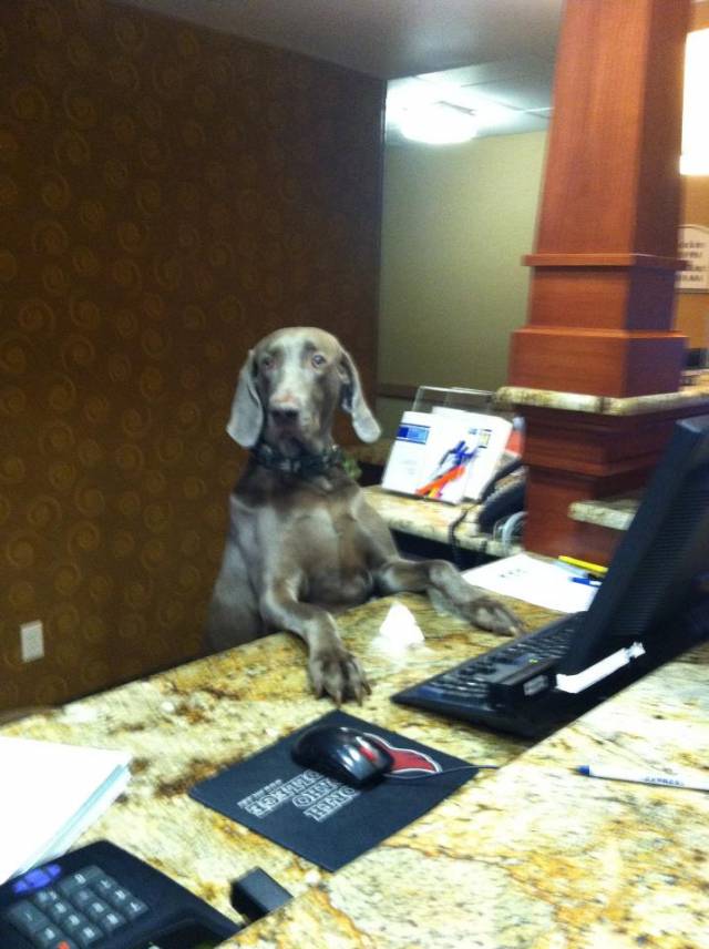 The lady at the front desk was a bit of a biztch