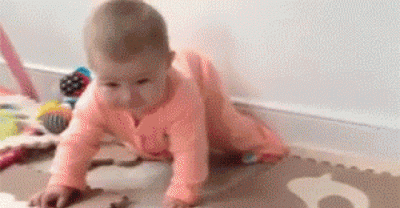 Jealous Animals Who Can't Believe You Right Now