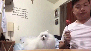 Maybe he won’t notice
