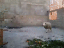 f*ck YO TABLE!
