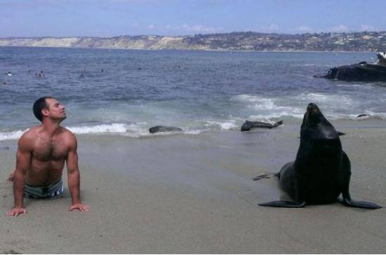 Otter showdown