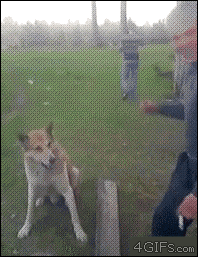 Put er there Frank ... sh*t Bill how the f*ck are ya!